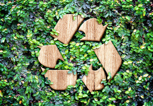 Переработка отходов леса