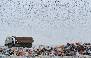 Кадастр отходов Москва 