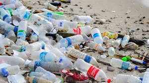 Отходы пластика и его влияния на окружающую среду